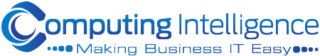Computing Intelligence