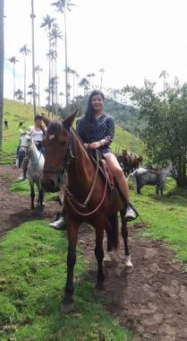 RIONEGRO ANT MONTAR A CABALLO