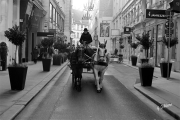 Timeless, Vienne