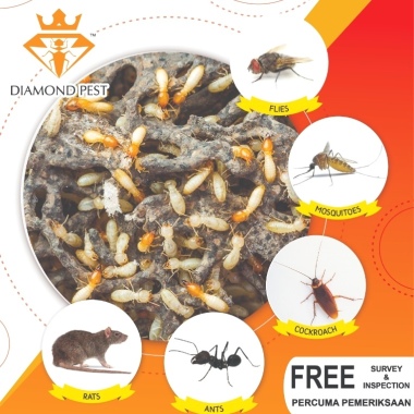 Diamond Pest Management (Kl) Sdn. Bhd.