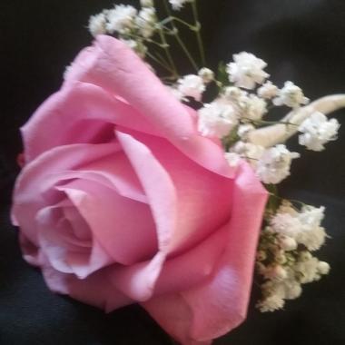 Rose E Perle
