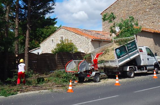 Evacuation des végétaux (branches et troncs)