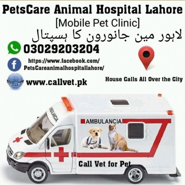 Petscare Animal Hospital Lahore