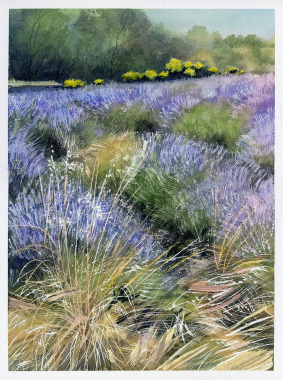 Aquarelle sur papier
