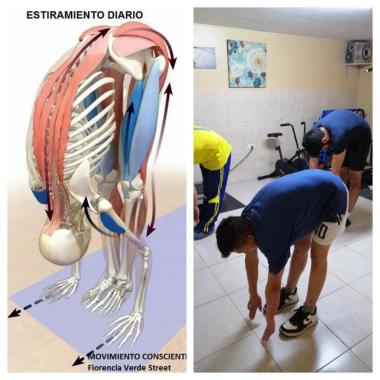 Elongación de para espinales isquiotibiales pantorrilla 