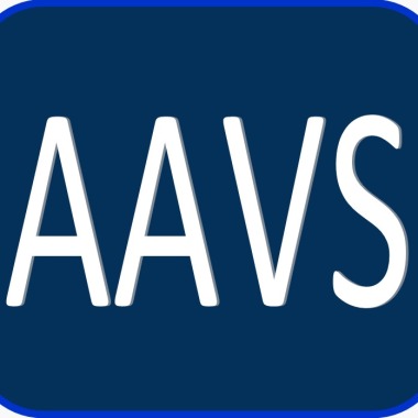 Aavs Multiservices 33