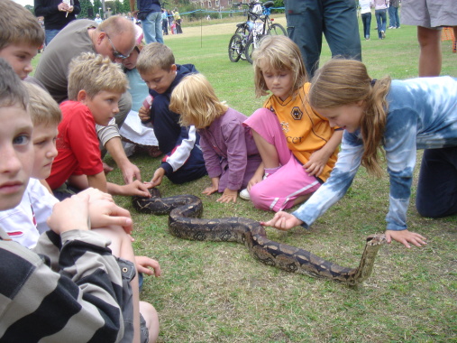 Going for a slither