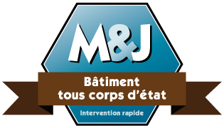 meilleur ouvrier de France  