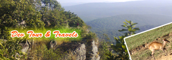 banner-4.jpg
