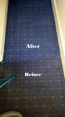 Professional Carpet Cleaning