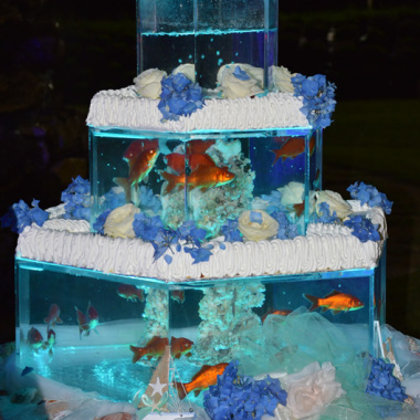 Magic Reef – Crystal Torta Acquario