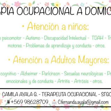 Terapia Ocupacional A Domicilio Niños, Adultos Y Adultos Mayores