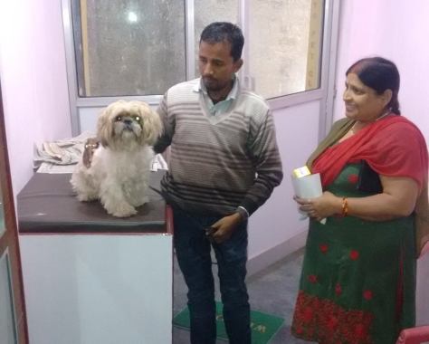 Satisfied Clients and their Pets