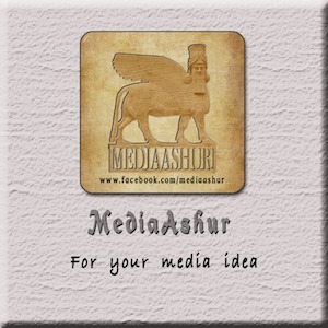 Mediaashur