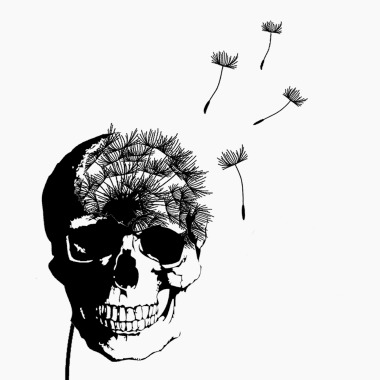 Cranio Fotografia