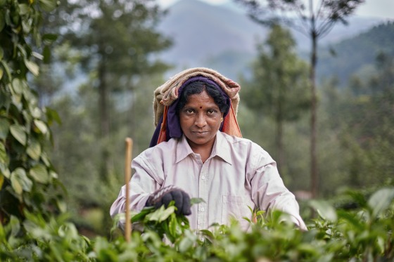 Portrait_womenteaplantation