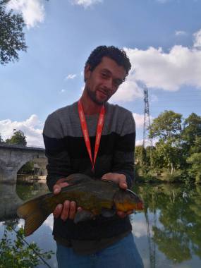Belle tanche de l'Isle 