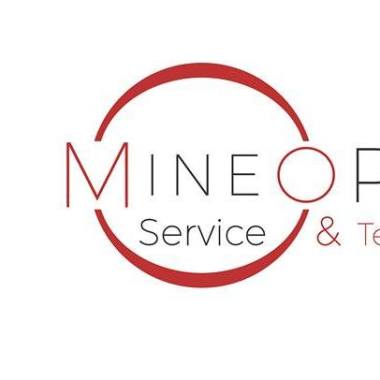 Mineo Prodigi Srl