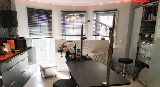 Unser Salon in Diez von Innen