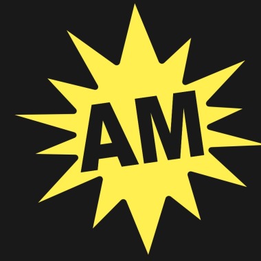 Am Group Of Companies
