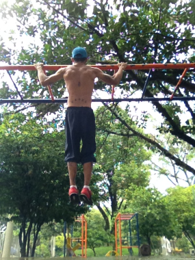 Dominadas. Trabajo de Trapecio, Romboides, ectorales, Deltoides,  Supinador.  Mejora la Postura.