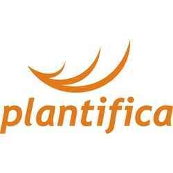 Plantifica - Implementação E Manutenção De Espaços Verdes, Lda.