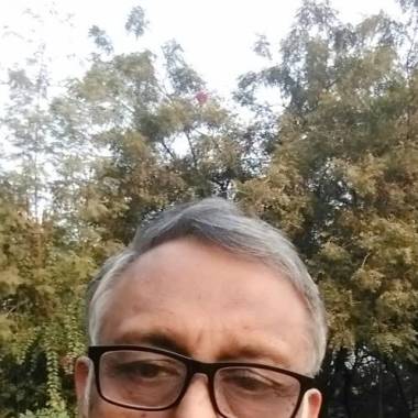 Raman Arora Associates