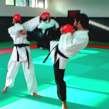 Aikikai Medocain