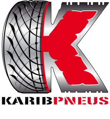 Création de logo et charte graphique, pour l'entreprise karibpneus.