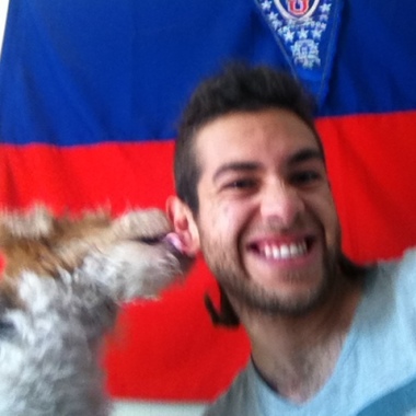 Paseador De Perros