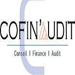 Cofin'Audit