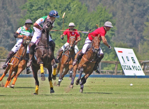 Club de Polo. Santiago del Cile