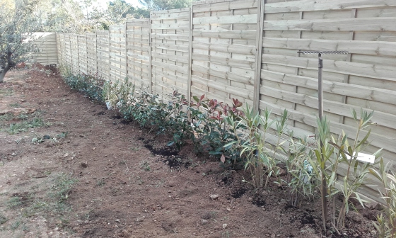 mise en place d'une palissade et plantation d'une haie