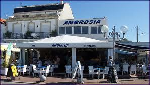Ambrosia 