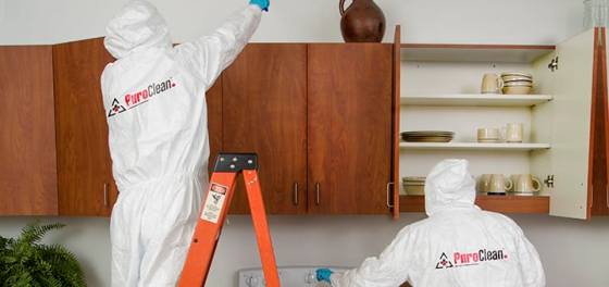 Biohazard Cleanup
