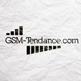 Gsmtendance