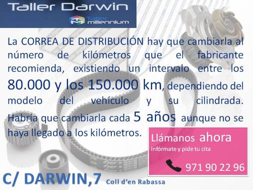 NO descuides cambiar la correa.