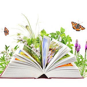 Naturopathie - Conseils En Hygiène De Vie