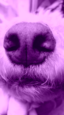 2013-11-07 23.59.04.png