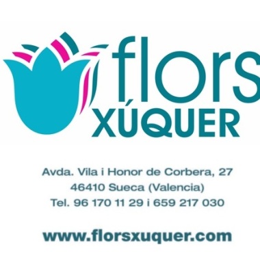 Flors Xuquer