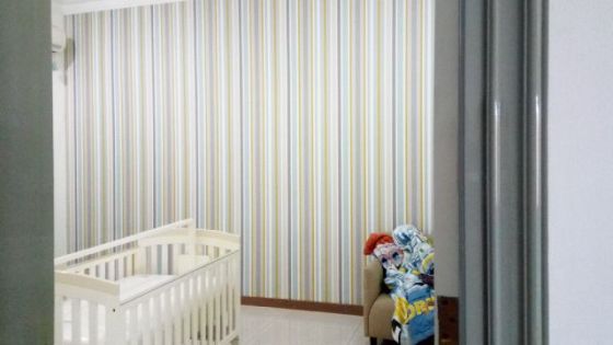 Festival Stripe