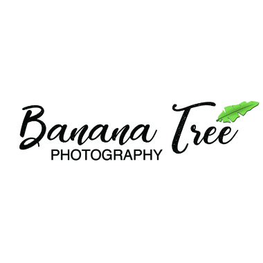 Banana Tree Photography