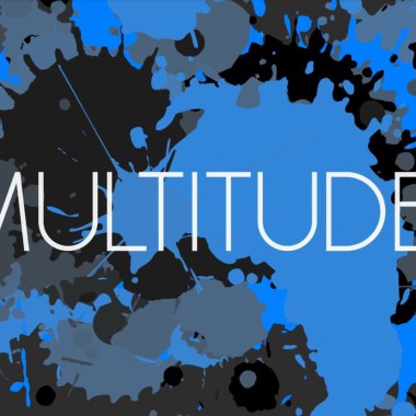 Multitude Service
