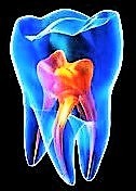 Dentistry Monastery'S Blue Tooth Dental Studio
