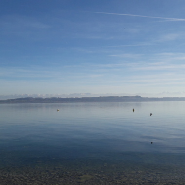 Tetrisdany