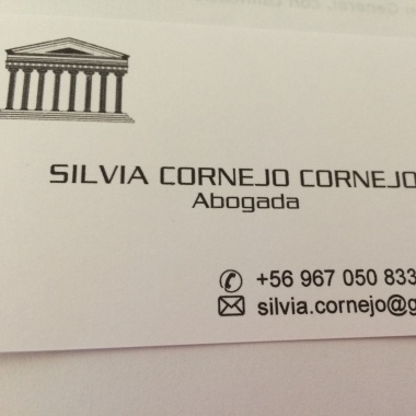 Silvia Cornejoasesoria