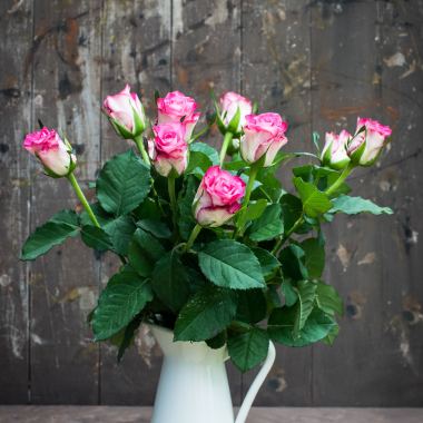 Bloomsvilla- Flower Delivery In Ahmedabad