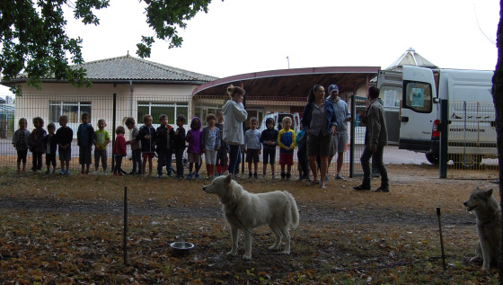 découverte du chien de traineau au centre de loisir a st Sulpice et cameyrac