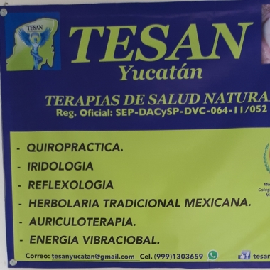 Tesan Yucatan