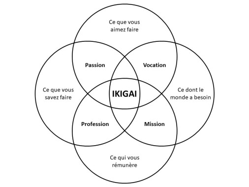 Le représentation d'IKIGAI